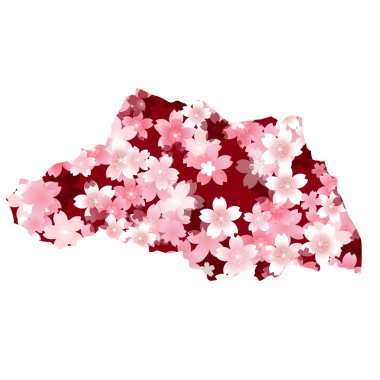 Saitama　spring cherry blossoms